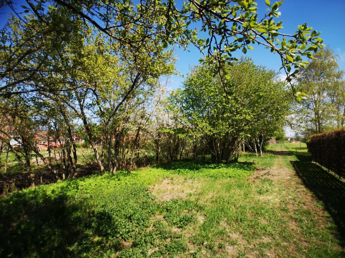 Huus An'T Doerpsdiek Krummhoern Exterior photo